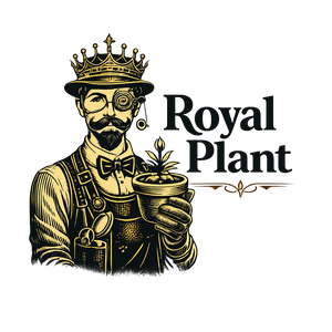 Royal Plant
