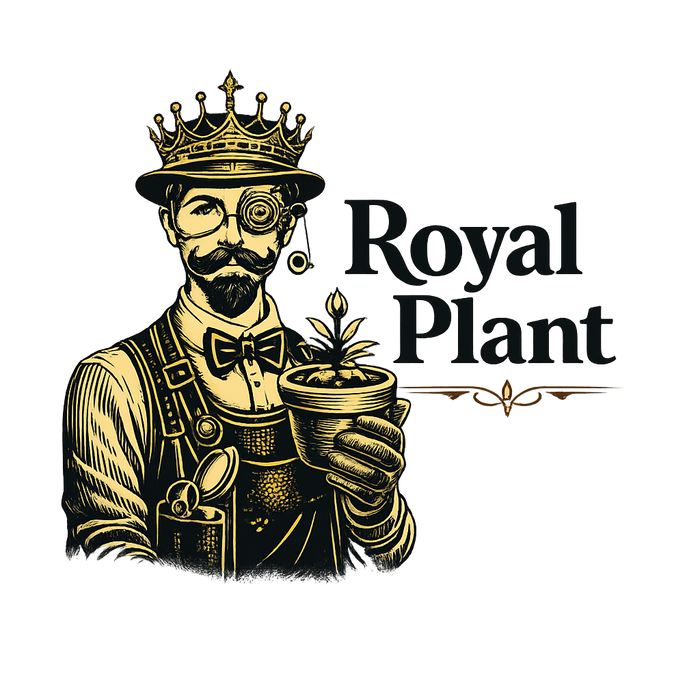 Royal Plant