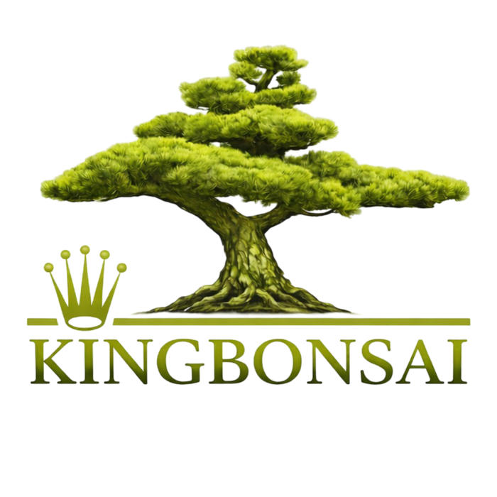 King Bonsai