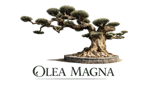 Olea Magna